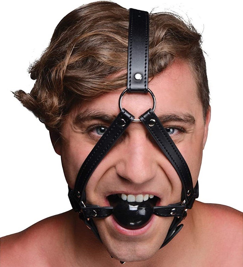 HEAD HARNESS WITH BALL BALL GAG