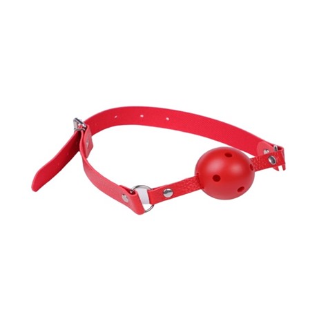 SIMPLE BALLGAG WITH ABS BALL PASSION LABS