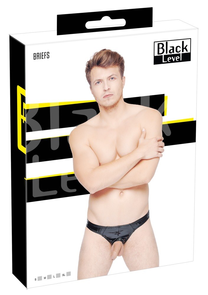 BRIEFS