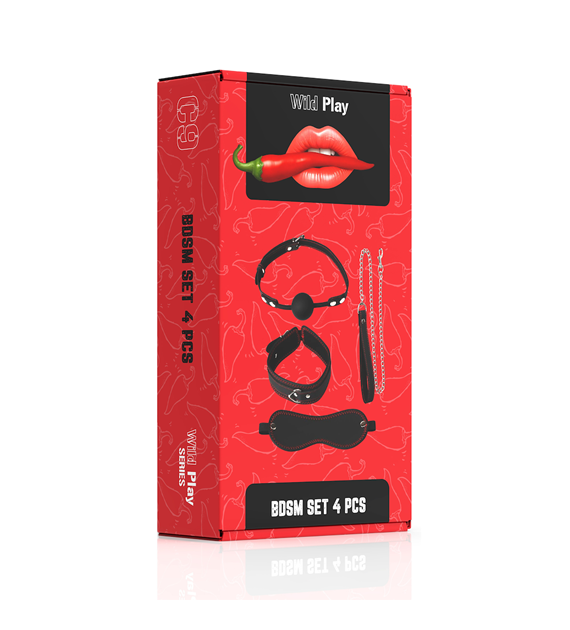 ZESTAW BDSM 4 PRODUKTÓW EROSPACE WILD PLAY C9