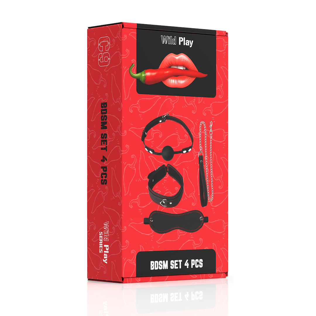 BDSM SET WITH 4 PRODUCTS WILD PLAY C9